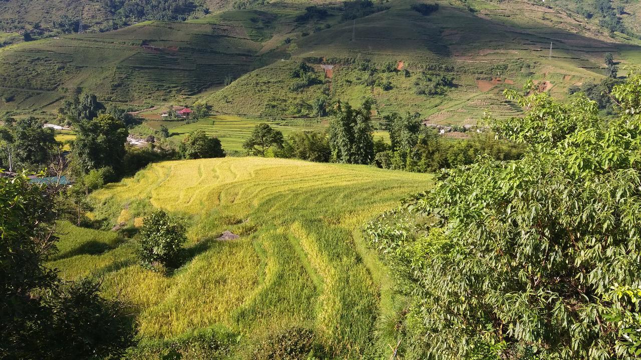 Ta Van Green Hills Homestay Sa Pa Kültér fotó